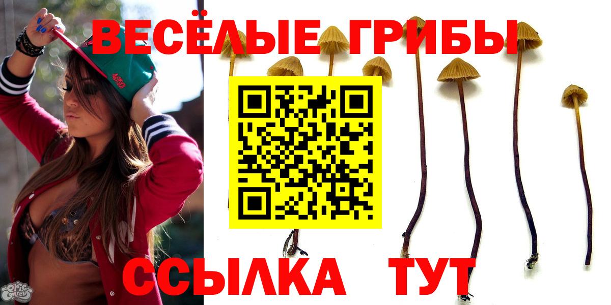 Галлюциногенные грибы прущие грибы Донской